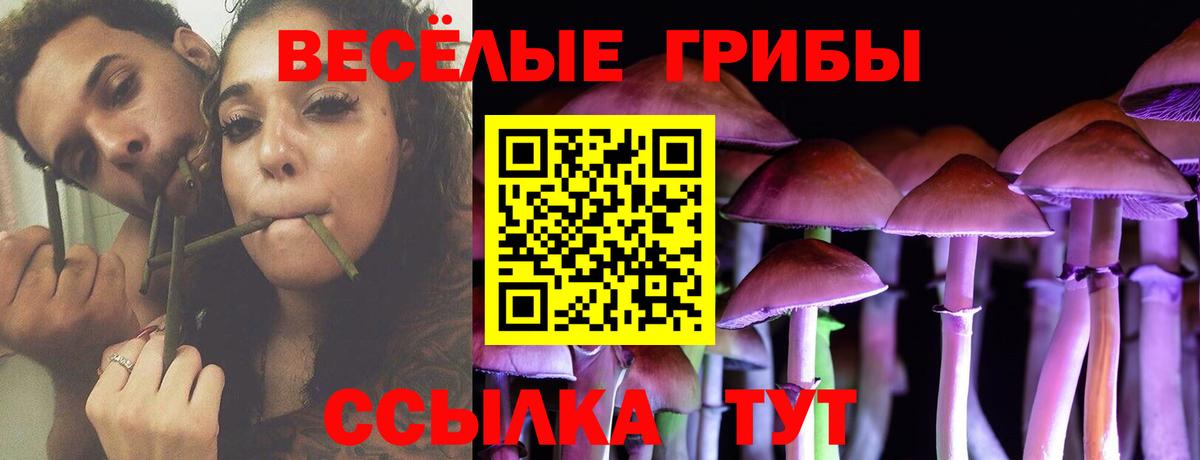 Москва  что такое наркотик  Вход с VPN  Псилоцибиновые грибы мицелий 